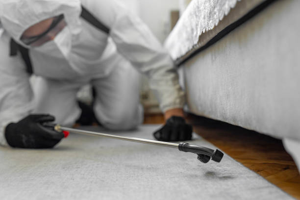 Professional Termite Control technician working in Rock County County, MN